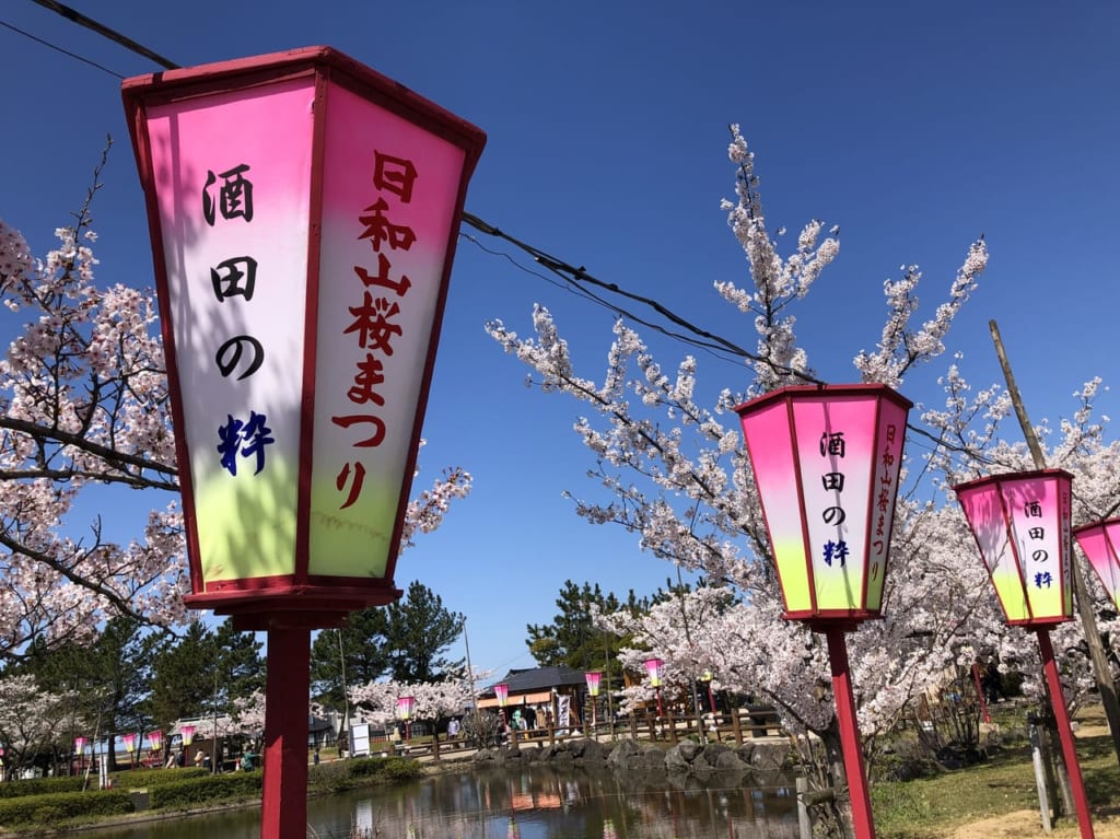 日和山桜まつり　ぼんぼり