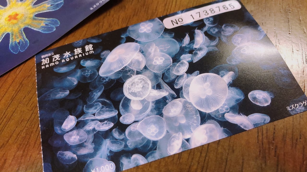 加茂水族館入場チケット - 施設利用券